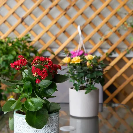 Modern In Cholargos Apartment *